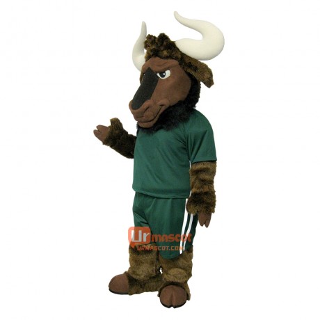 College Handsome Buffalo Custom Cartoon Mascot Costume