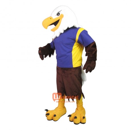 College Handsome Eagle Custom Cartoon Mascot Costume
