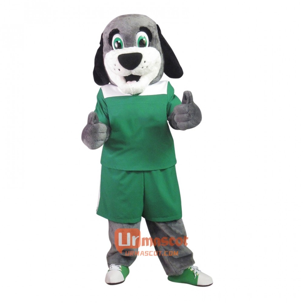 College Lovely Friendly Dog Custom Cartoon Mascot Costume