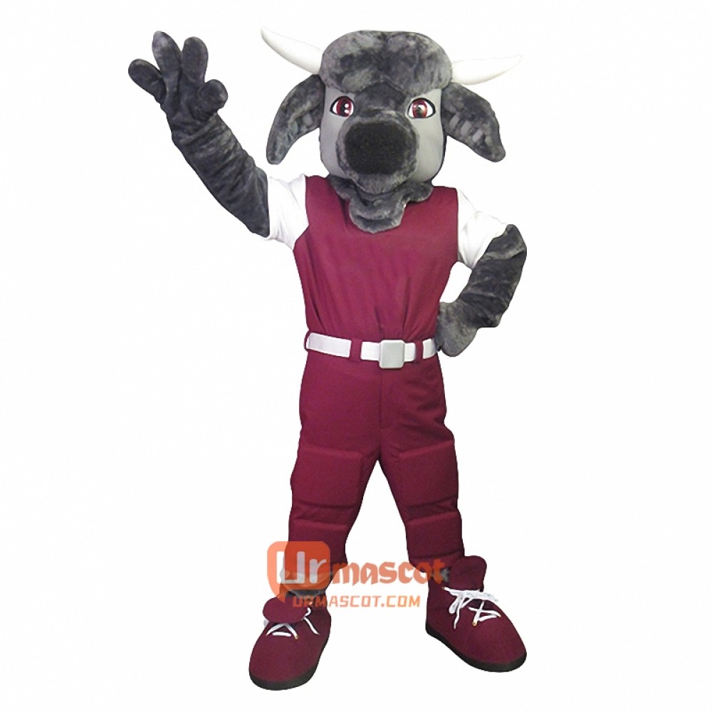 College Sports Cow Custom Cartoon Mascot Costume