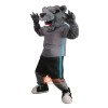 College Violent Bear Custom Cartoon Mascot Costume