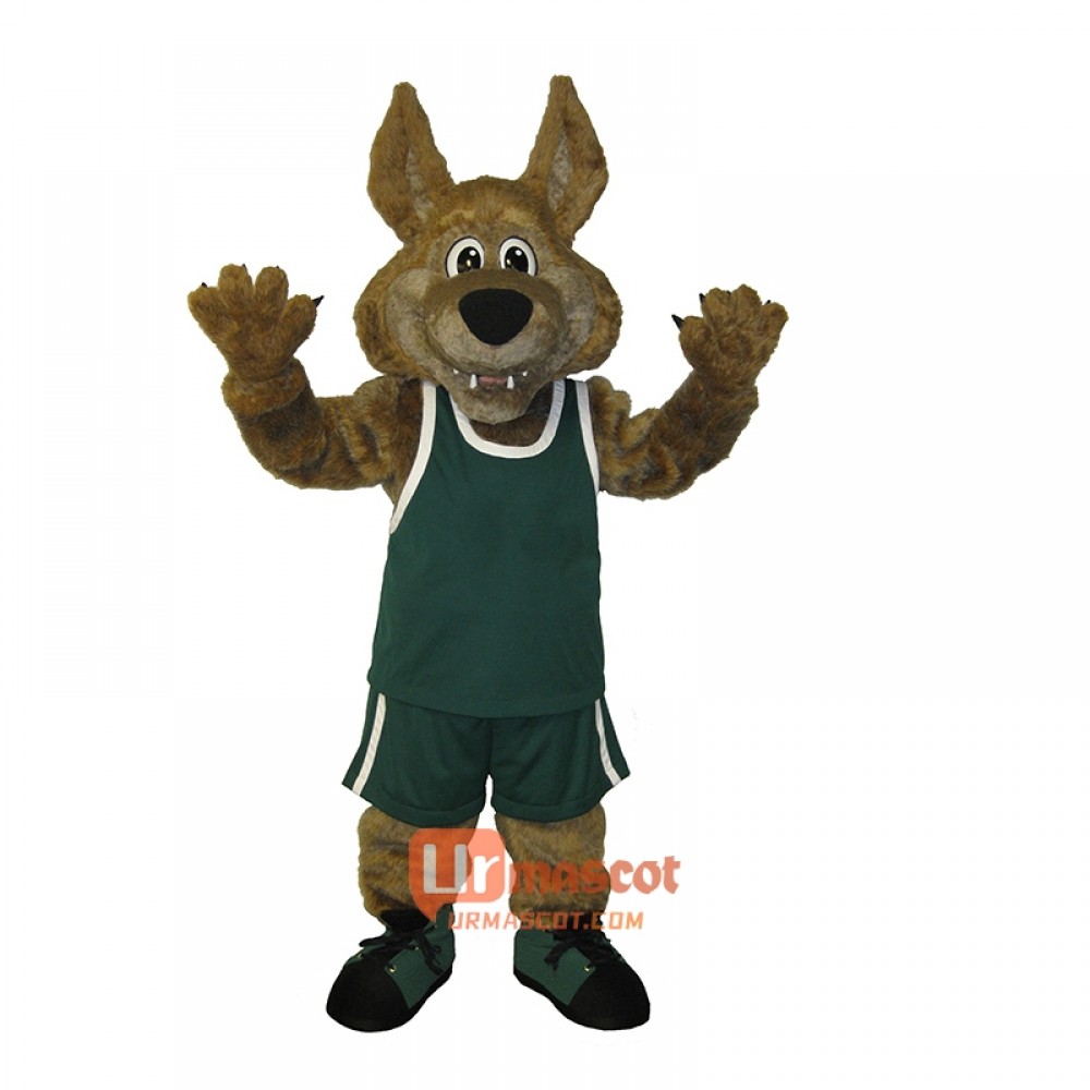 Coyote Custom Cartoon Mascot Costume