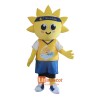 Custom Sunflower Mascot Cartoon Costume