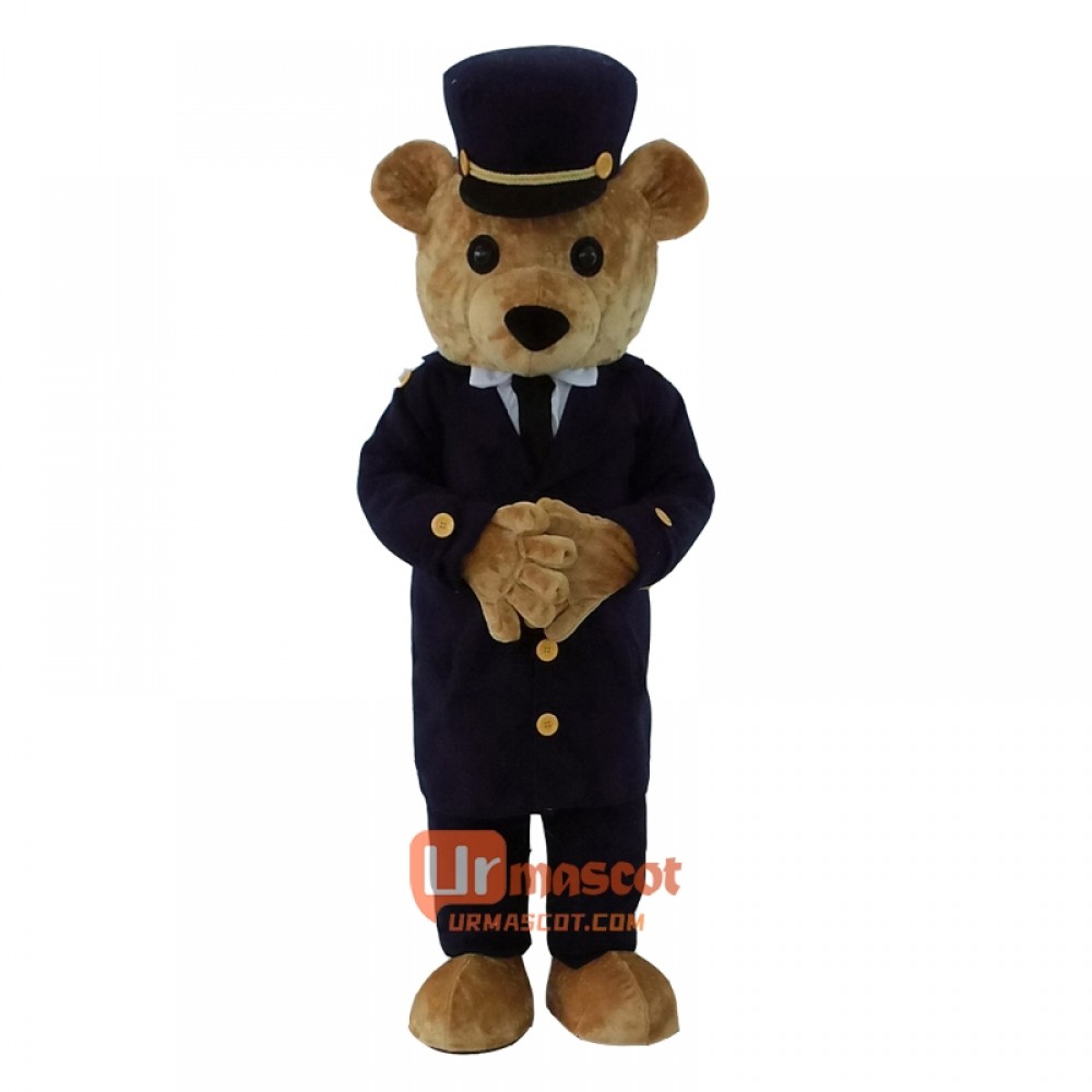Custom Teddy Bear Mascot Cartoon Costume