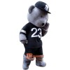 Custom Teddy Bear Mascot Cartoon Costume