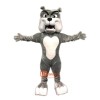 Cute Bulldog Mascot Costume Cosplay Outfits