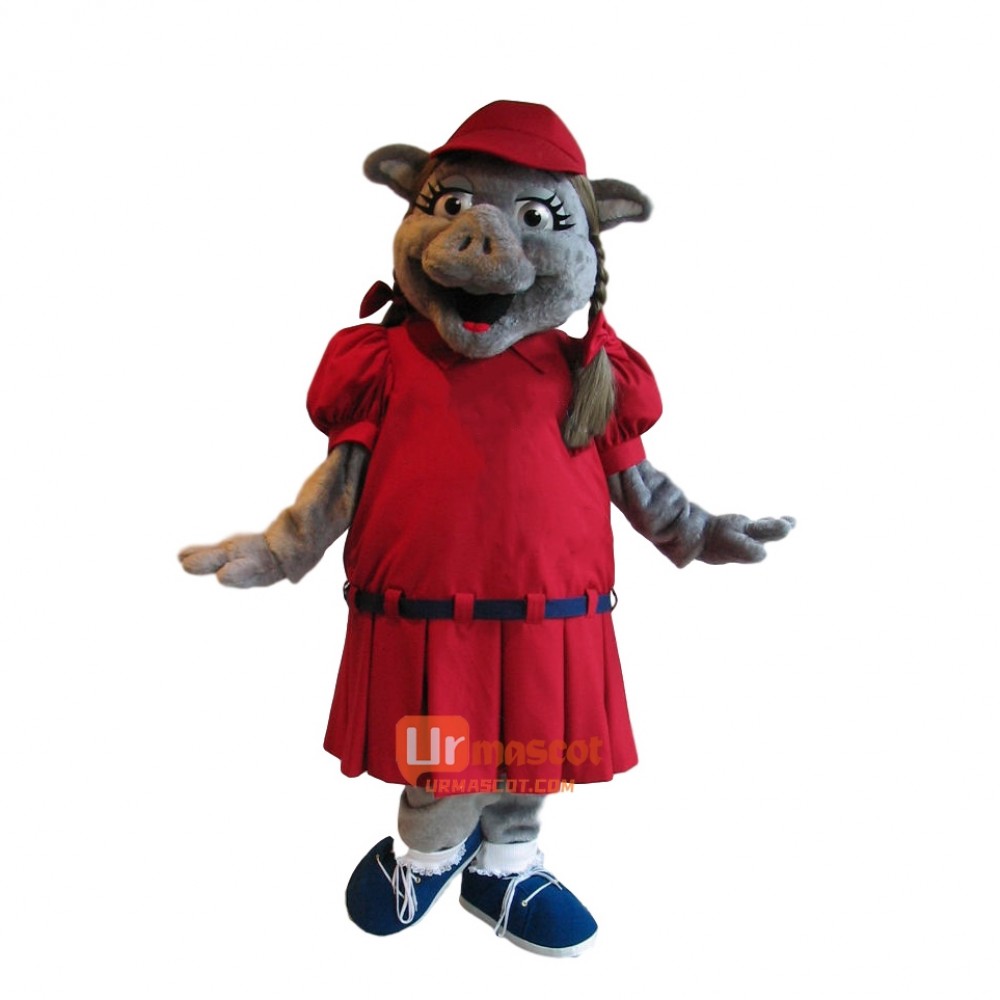 Cute Charming Pig Custom Cartoon Mascot Costume