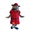 Cute Charming Pig Custom Cartoon Mascot Costume