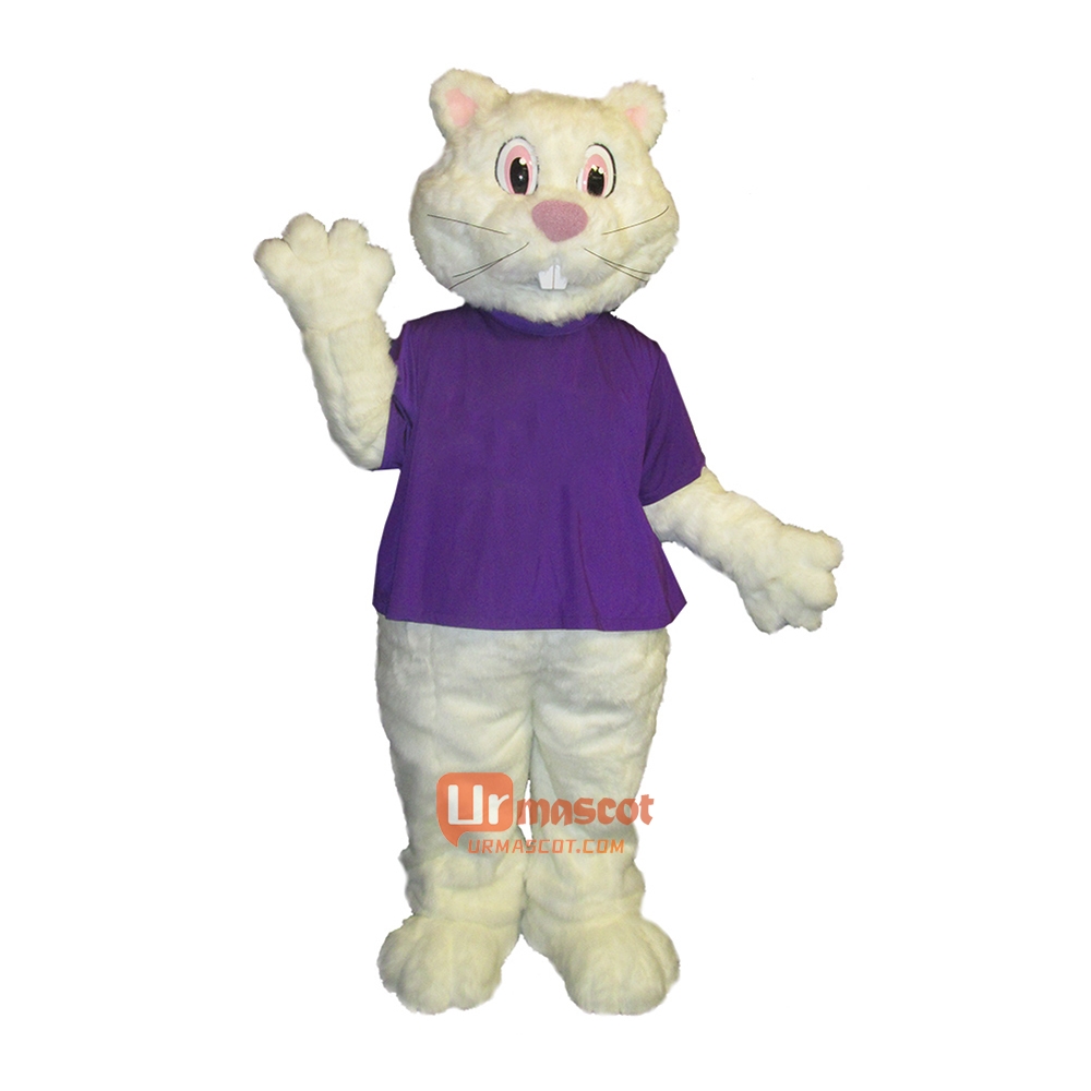 Cute Charming Rabbit Custom Cartoon Mascot Costume