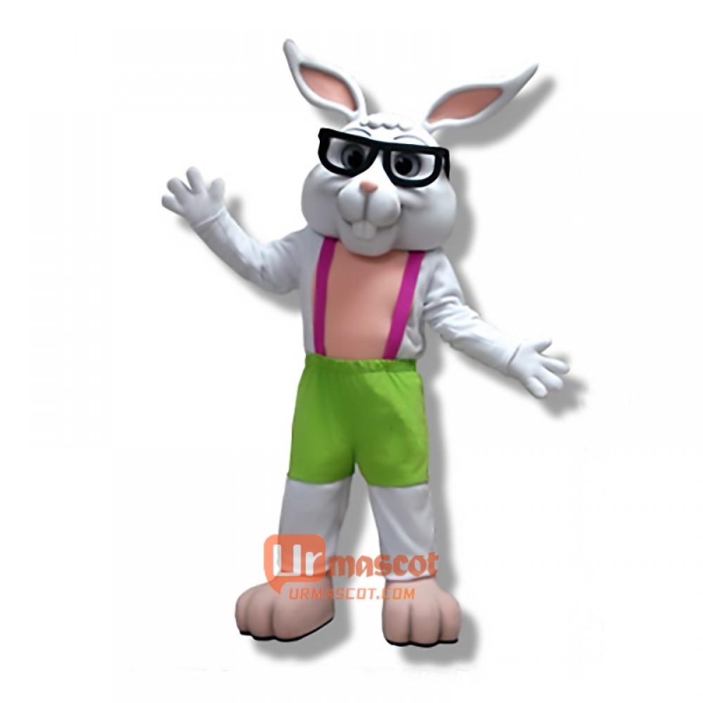 Cute Eyeglasses Rabbit Cartoon Mascot Costume Cosplay Outfits