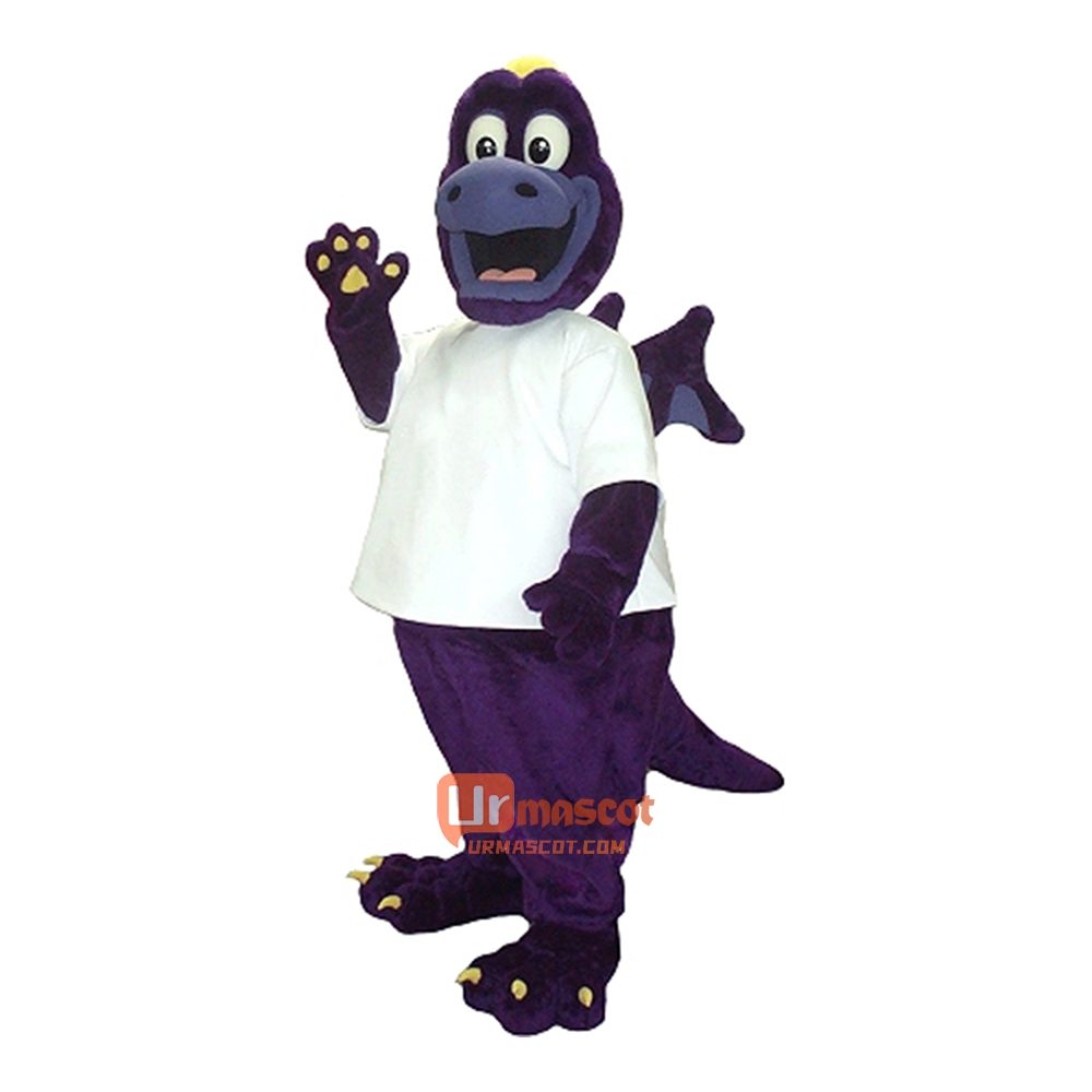 Cute Friendly Dragon Custom Cartoon Mascot Costume