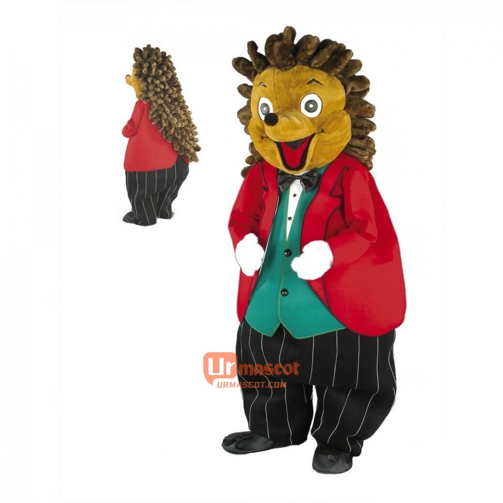 Cute Friendly Hedgehog Custom Cartoon Mascot Costume