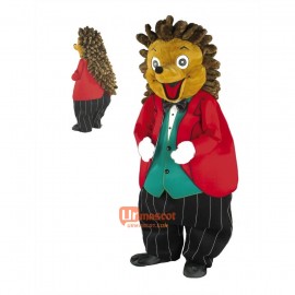 Cute Friendly Hedgehog Custom Cartoon Mascot Costume