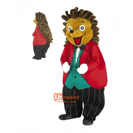 Cute Friendly Hedgehog Custom Cartoon Mascot Costume