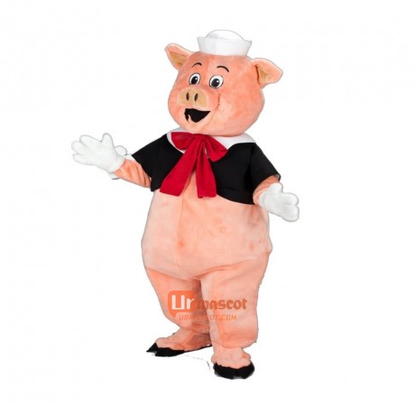 Cute Friendly Pig Custom Cartoon Mascot Costume