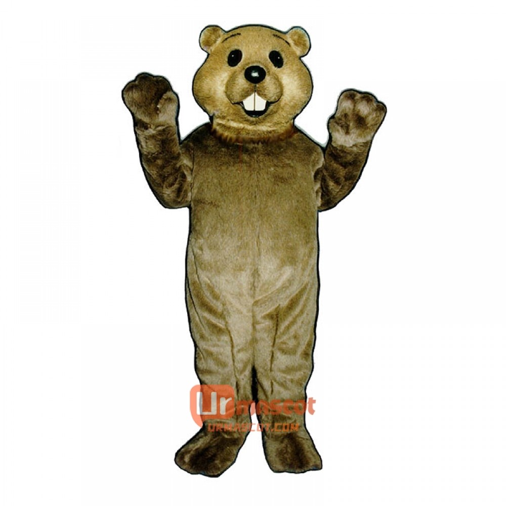 Cute Groundhog Cartoon Costume Mascot