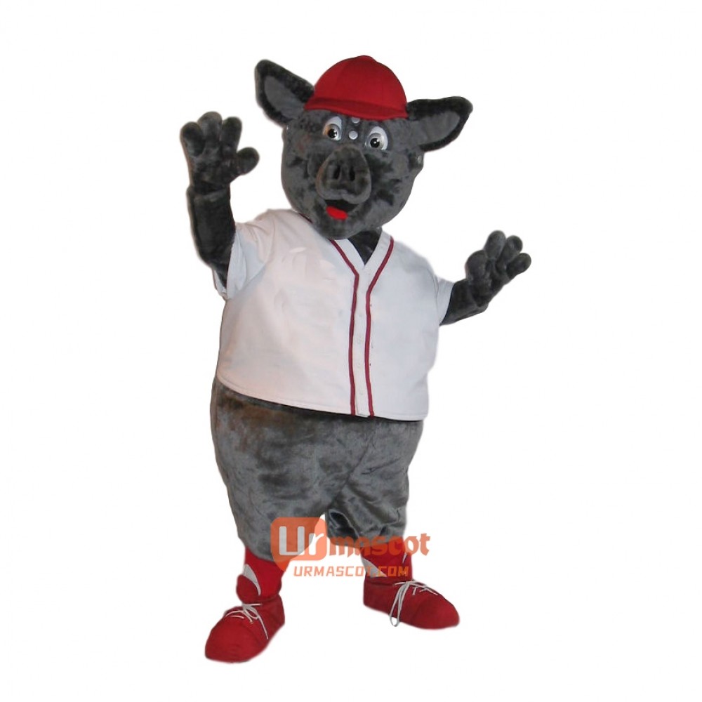 Cute Handsome Pig Custom Cartoon Mascot Costume