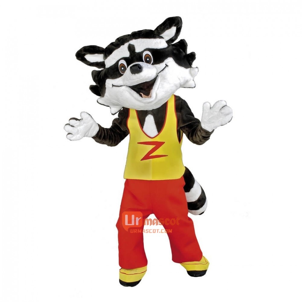 Cute Happy Raccoon Custom Cartoon Mascot Costume