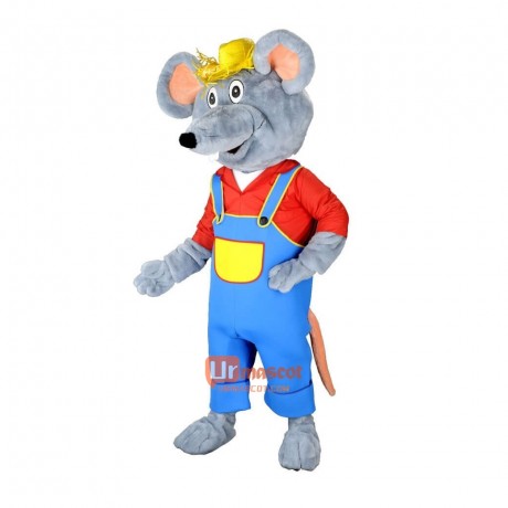 Cute Mouse Custom Cartoon Mascot Costume