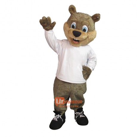 Cute Squirrel Custom Cartoon Mascot Costume