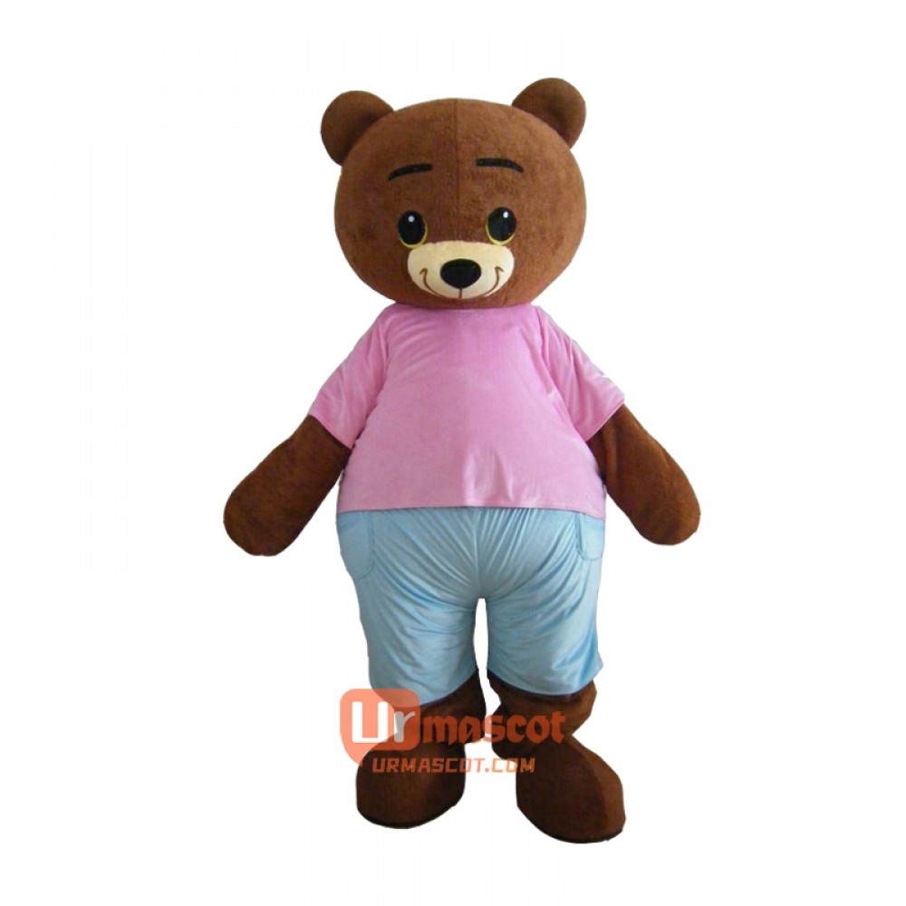 Cute Teddy Bear Custom Mascot Cartoon Costume
