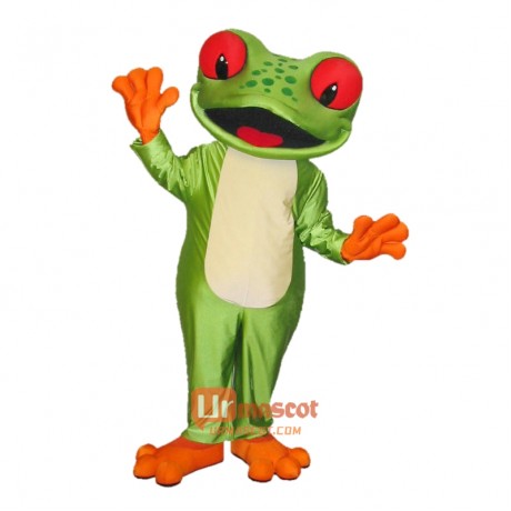 Cute Tree Frog Custom Cartoon Mascot Costume