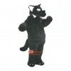 Cute Wolf Custom Cartoon Mascot Costume