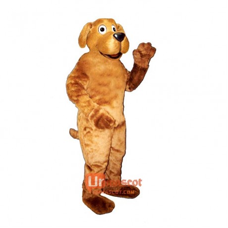 Danny Dog Cartoon Costume Mascot
