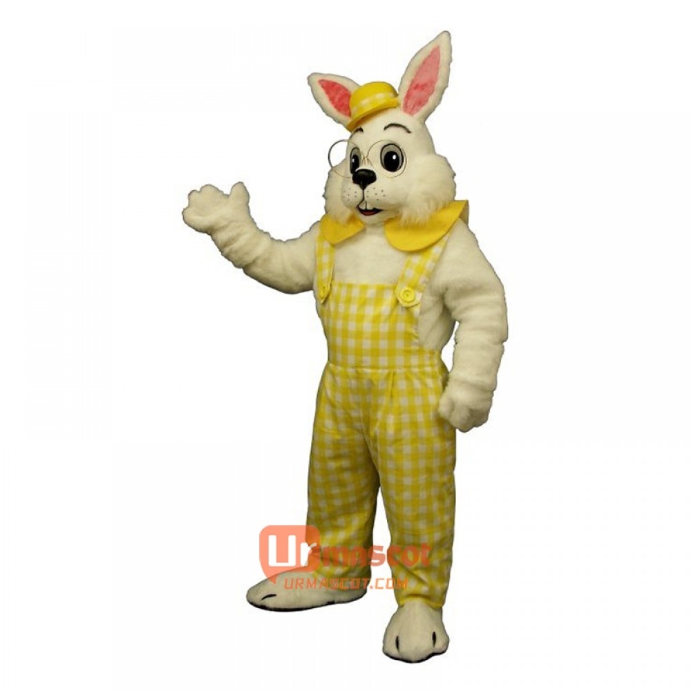 Eggbert Cartoon Costume Mascot