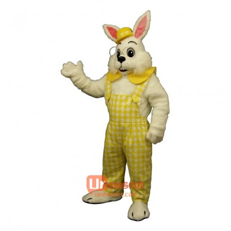 Eggbert Cartoon Costume Mascot