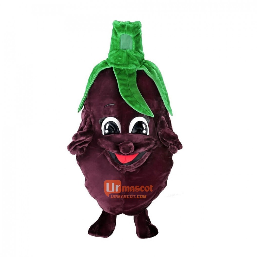 Eggplant Custom Cartoon Mascot Costume