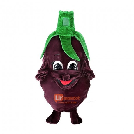 Eggplant Custom Cartoon Mascot Costume