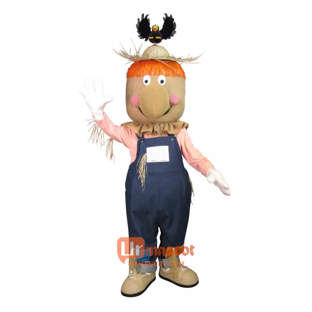 Fair Crow Custom Cartoon Mascot Costume