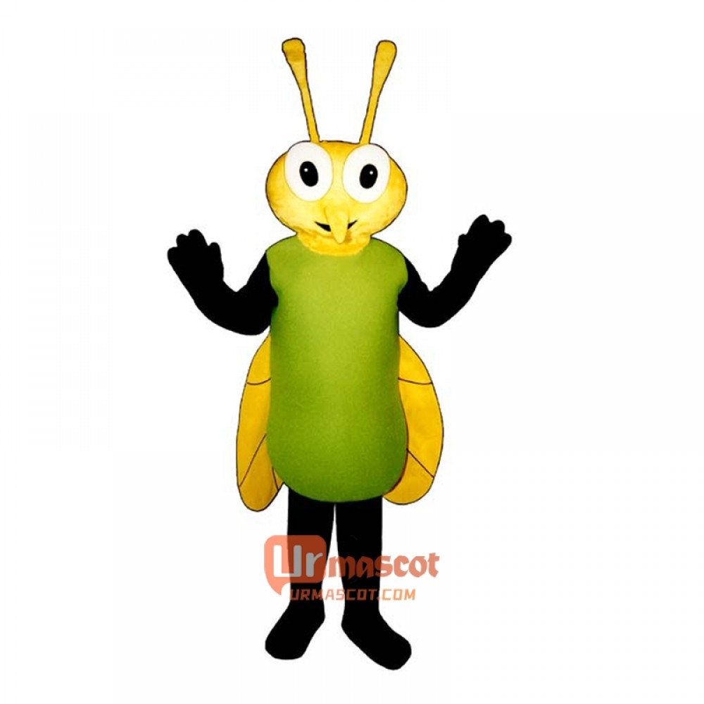 Fairy Fly Cartoon Costume Mascot