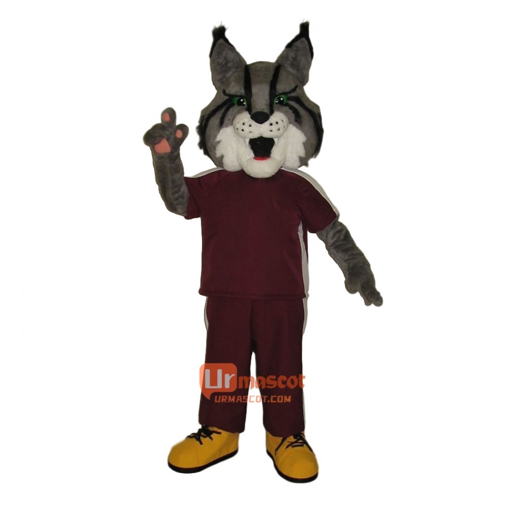 Ferocious Bobcat Custom Cartoon Mascot Costume Free Shipping