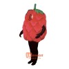 Fresh Raspberry (Bodysuit not included) Cartoon Costume Mascot