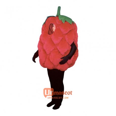Fresh Raspberry (Bodysuit not included) Cartoon Costume Mascot