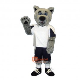 Friendly Coyote Cartoon Mascot Costume