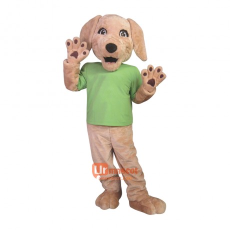 Friendly Cute Dog Custom Cartoon Mascot Costume