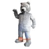 Friendly Grizzly Bear Custom Cartoon Mascot Costume