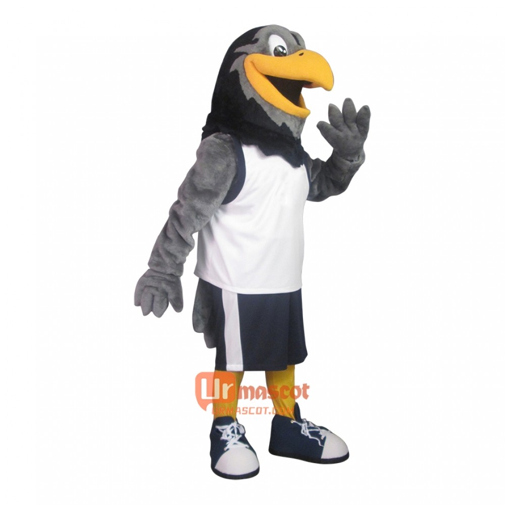Friendly Hawk Custom Cartoon Mascot Costume