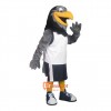 Friendly Hawk Custom Cartoon Mascot Costume