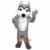 Friendly Husky Dog Lightweight Cartoon Mascot Costume