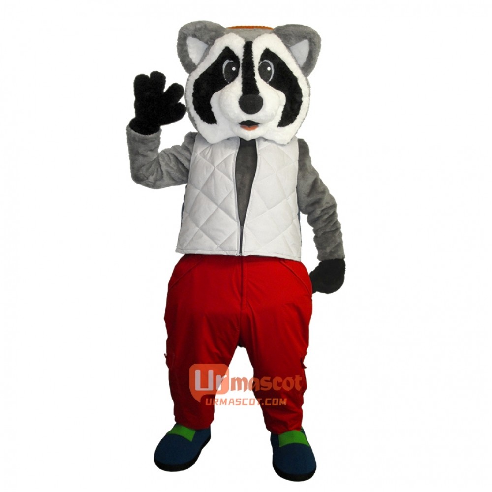 Friendly Raccoon Custom Cartoon Mascot Costume