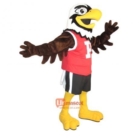 Friendly School Eagle Custom Cartoon Mascot Costume
