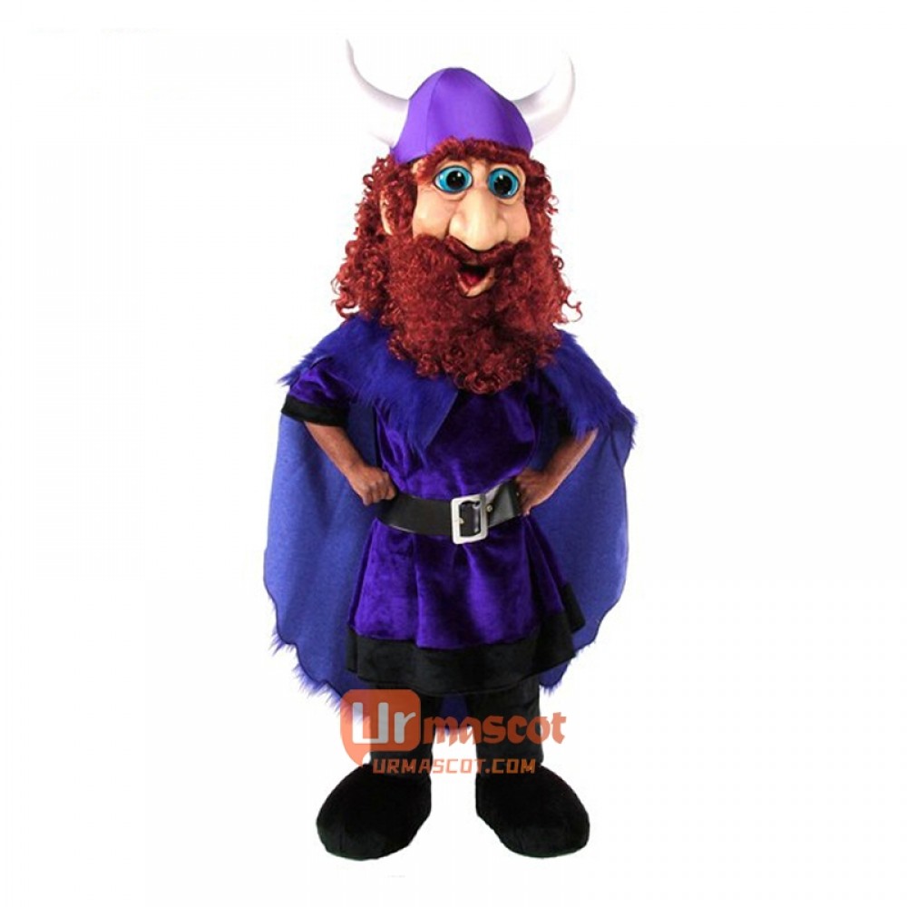 Friendly Viking Cartoon Costume Mascot