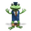 Frog Mascot Costume Cosplay Outfits