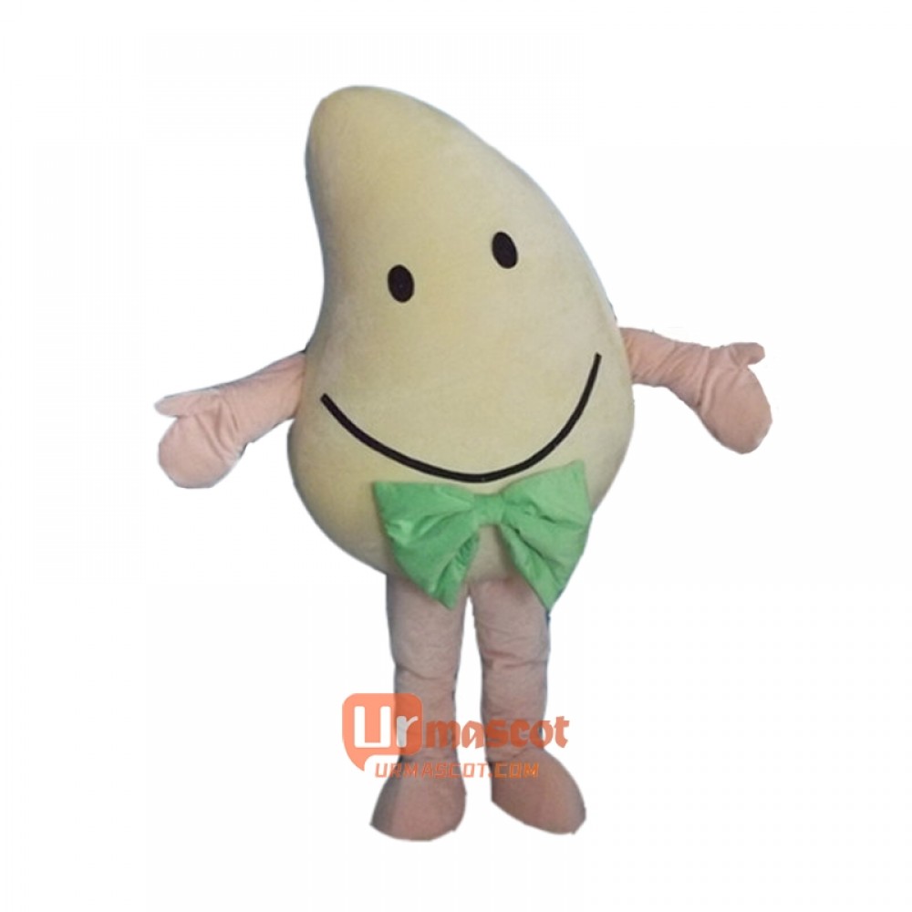 Fruit Mango Mascot Cartoon Costume