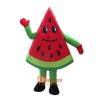 Fruit Watermelon Mascot Cartoon Costume