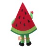 Fruit Watermelon Mascot Cartoon Costume